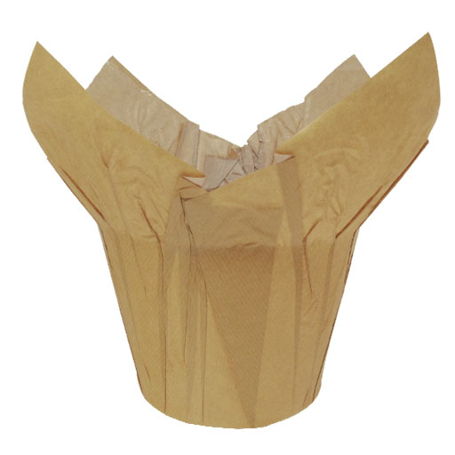 Natural Kraft Fastwrap
