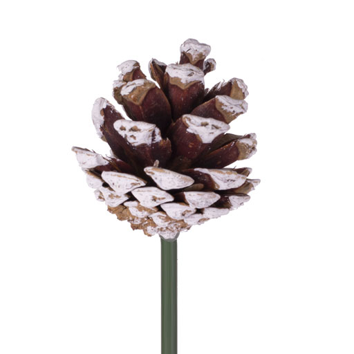 Pinecone Pick