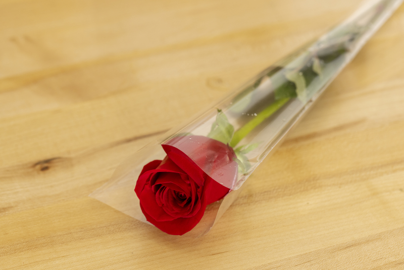 Single Stem Rose Sleeves OBS