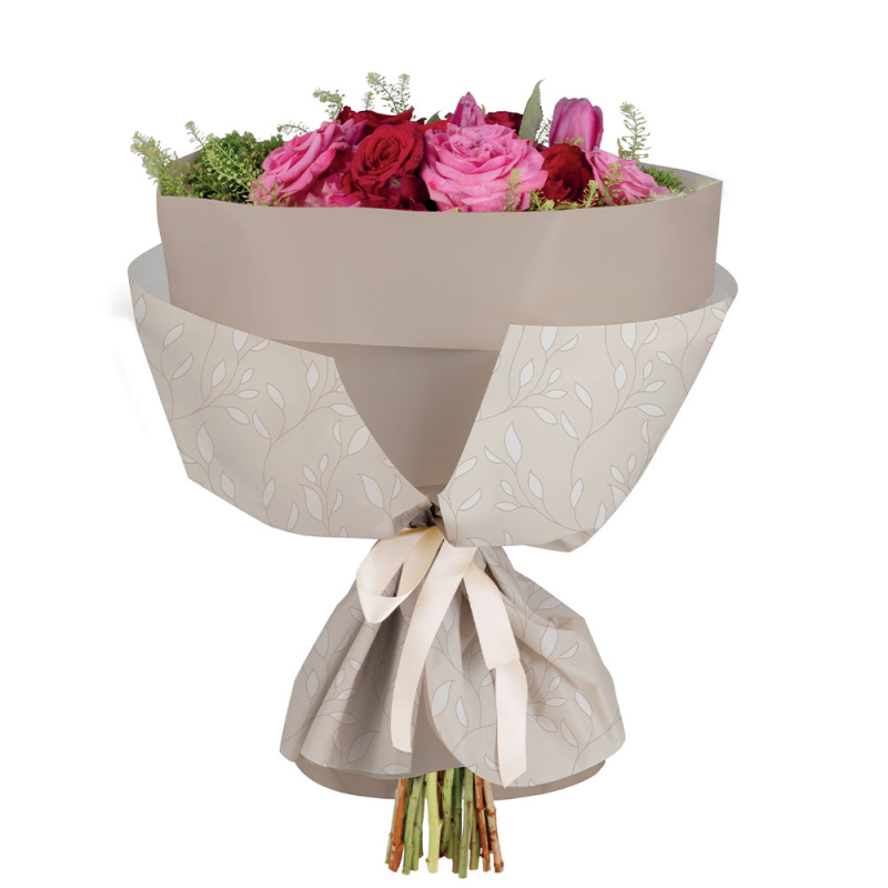 Serafina Premium Tube