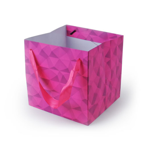 Prism Bag
