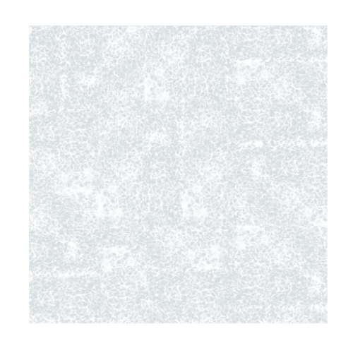 Echo Sheet