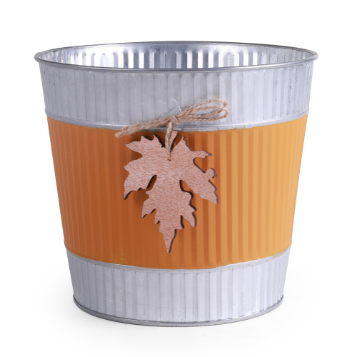 Maple Band Container