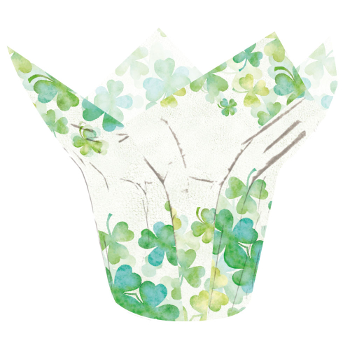 Irish Kiss Fastwrap