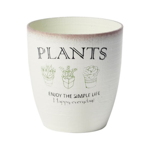 Cindy Fine Herbs Container