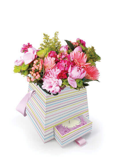 2281-TrapezoidHatBox_OpenDrawer_White_Catalog