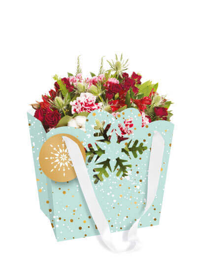 3780_DiecutPaperBag_SnowflakePaperBag_Xmas_Catalog