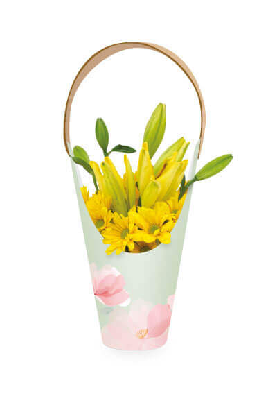 3780_EzWrapWithHandles_Catalog