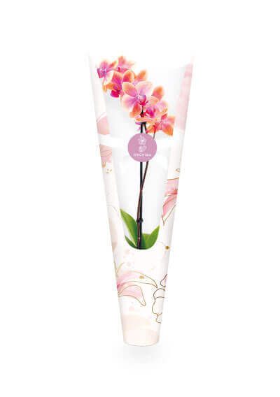 3780_EzWrap_Tall_Orchids_2_Catalog