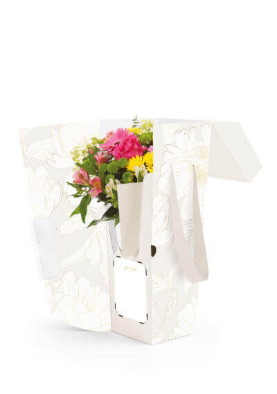 3780_Molly_FlowerVerticalBox_OPEN_Catalog