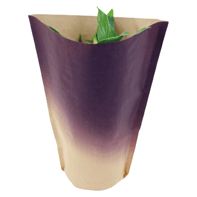 Potted Packaging